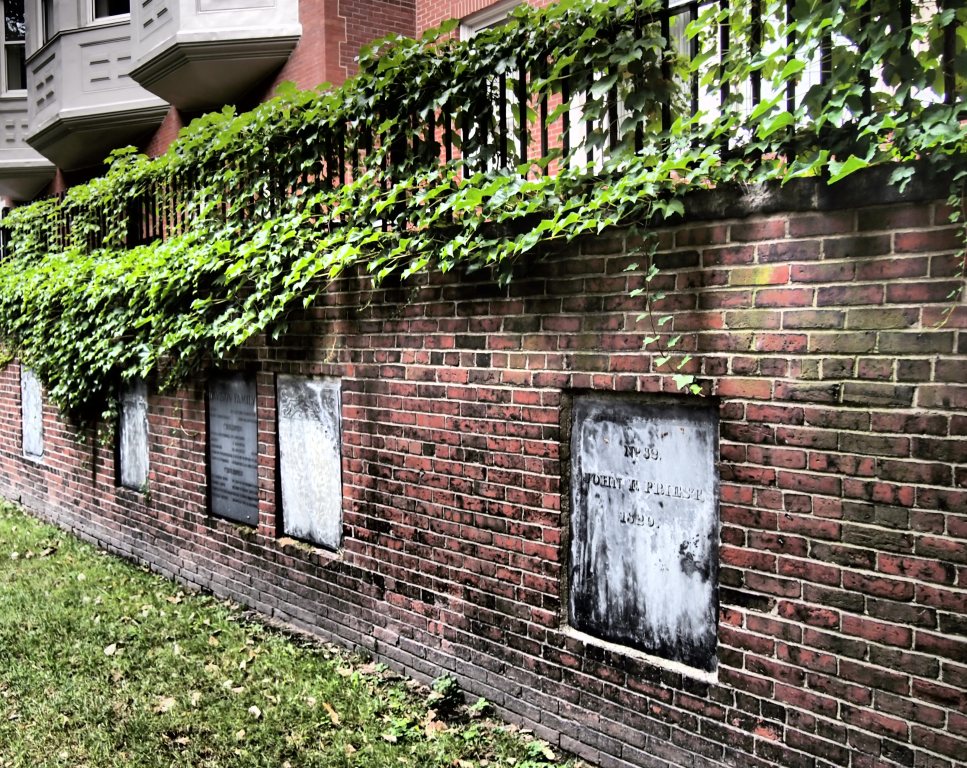 Green Walls and Moss Walls in Louisville, KY