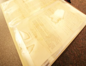 Documents housed in mylar sheets to prevent handling damage.