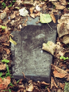 History Mystery: Jacob Mardis’ Burial Site – Kenton County