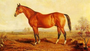 Horse Lexington